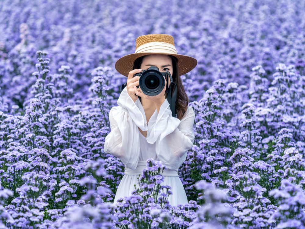 tourist take photo with digital camera margaret flowers fields